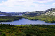 Eastern Boreal Forest | Canadian Survival Environment