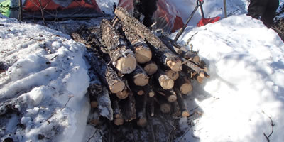Waist High Wood Pile for Buring Overnight